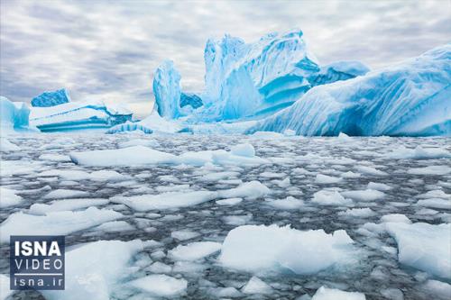 ویدیو، تابستان قطبی بدون یخ در راهست