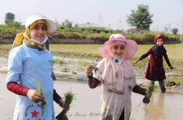 ارتقای آموزش دختران گیلانی برای ورود به بخش کشاورزی
