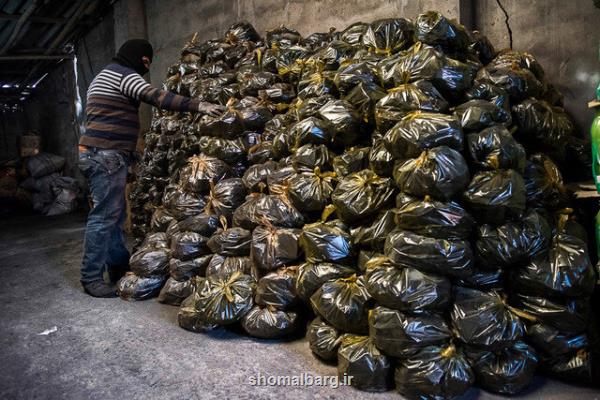 کشف 3 تن ذغال درختان ممنوعه در مازندران