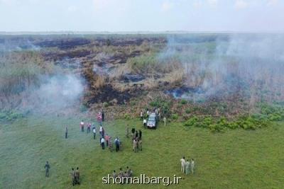 حریق نیزارهای تالاب انزلی مهار گشت