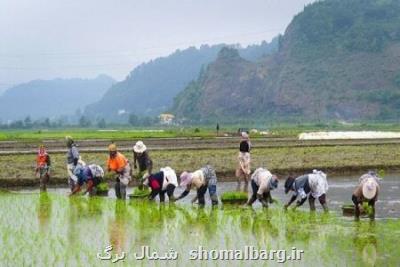 ثبت ۱۵ اثر ناملموس گیلان در لیست آثار ملی