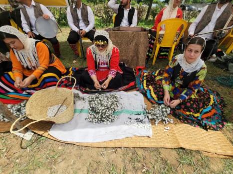 توزیع ۳۱ درصدی تخم نوغان کشور در گیلان