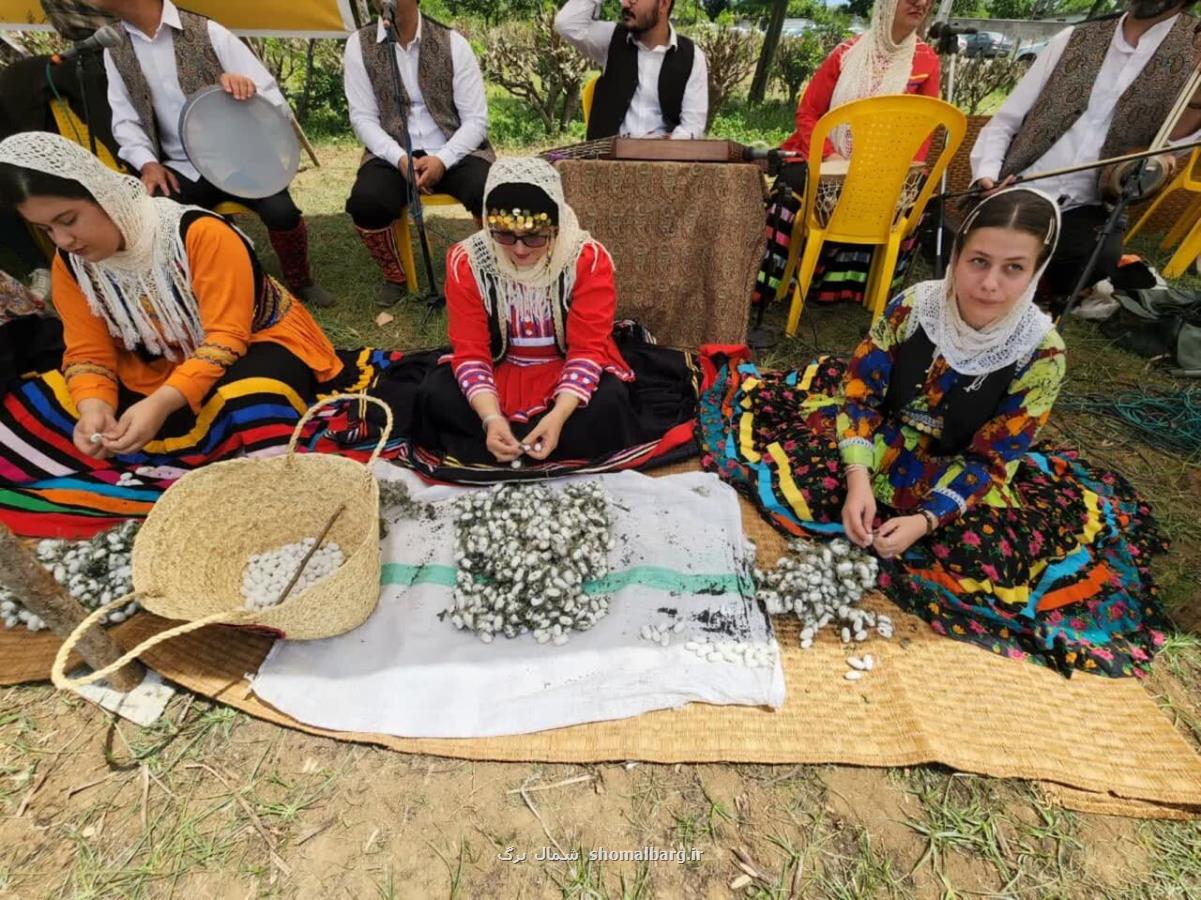 توزیع ۳۱ درصدی تخم نوغان کشور در گیلان