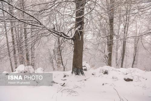 بارش باران و کاهش دما در بعضی استانها
