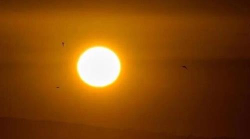 ادامه گرمایش زمین 5 میلیارد نفر تحت تاثیر گرمای شدید در نقاط مختلف جهان