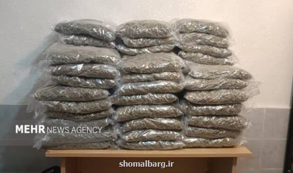کشف ۶۳ کیلوگرم مواد مخدر از بار صادراتی فلفل دلمه در آستارا
