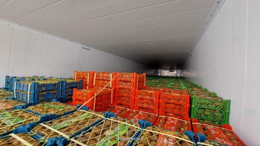 آغاز صادرات رسمی کیوی از بندر امیرآباد به بازارهای جهانی