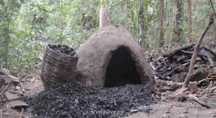 تخریب کارخانه زغال گیری در جنگل های نکا