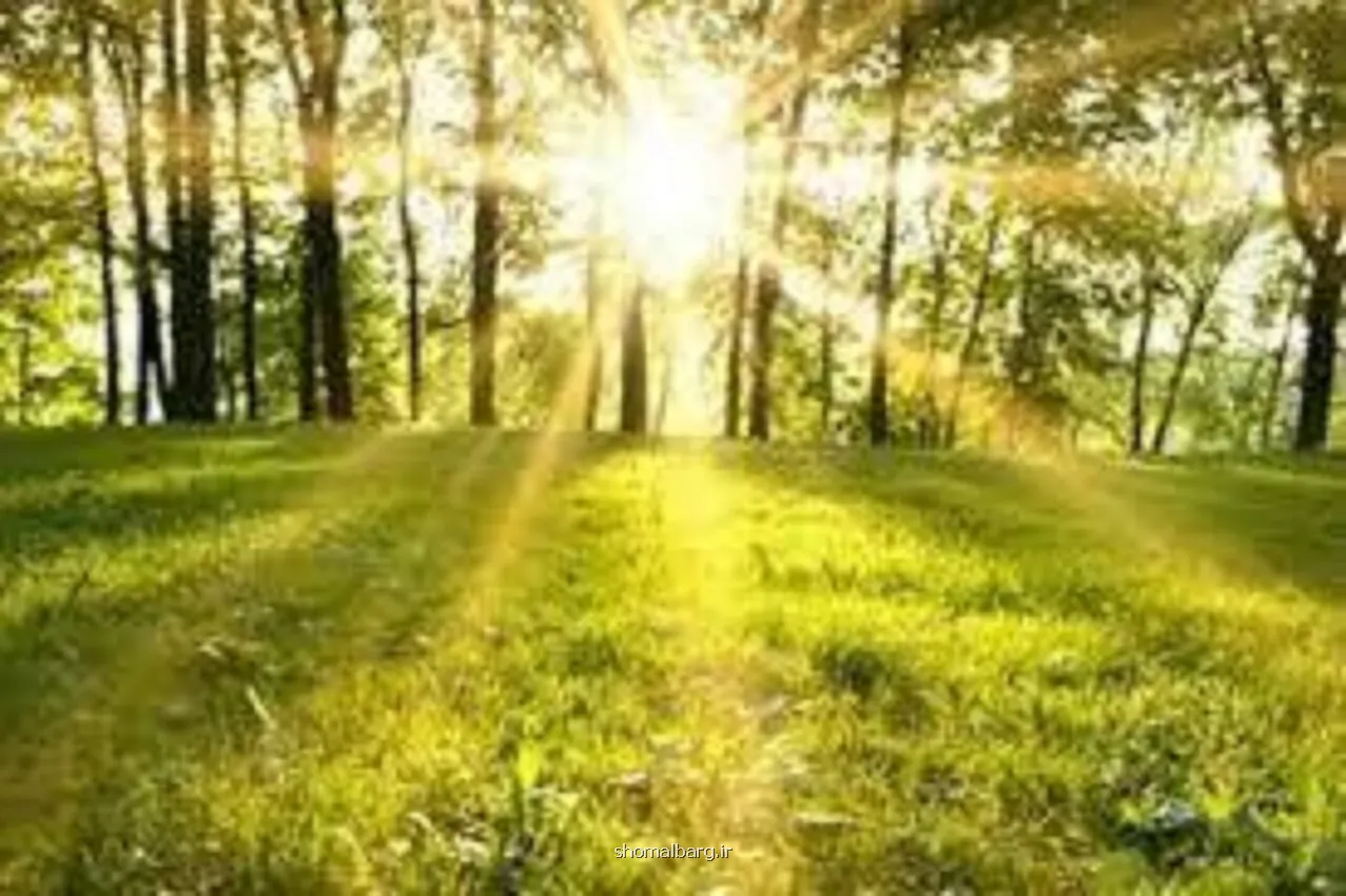 پایداری جوی تا اواسط هفته در مازندران