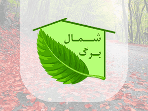 آئین دمام زنی در صد و چهاردهمین تجمع شبانه مردم رشت