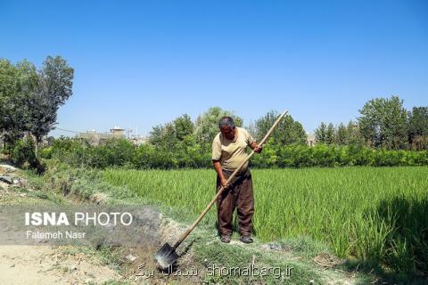 چگونه تنگی نفس خاك مازندران برطرف می شود؟
