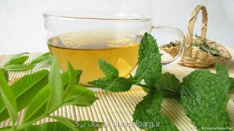 تنها روزی یك فنجان دمنوش بنوشید