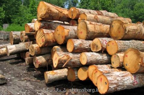 تولیدات یك شركت چوب به بازار بازگشت