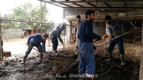 گلایه مردم روستای ركن كلا سیمرغ از مسئولان دامپزشكی