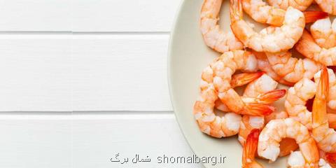 صادرات هفت هزار و 500 كیلوگرم شاه میگو از گیلان به 6كشور