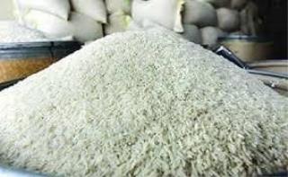گیلان استان مهم تولیدكننده برنج بومی باكیفیت كشور