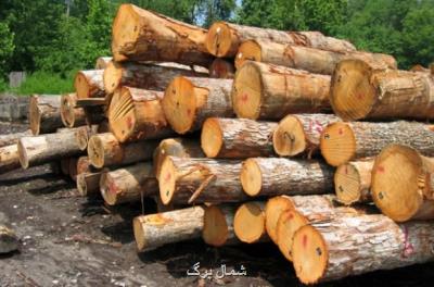 كشف سه تن چوب جنگلی قاچاق در میاندورود