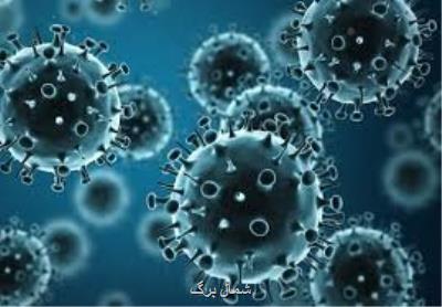 مبتلاشدن 68 نفر در گیلان به آنفلوآنزا