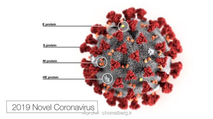 آمار بیشتر مرگ و میر ناشی از تصادفات نسبت به كرونا ویروس