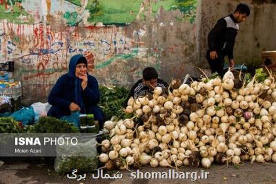 مواد غذایی عامل انتقال كروناست