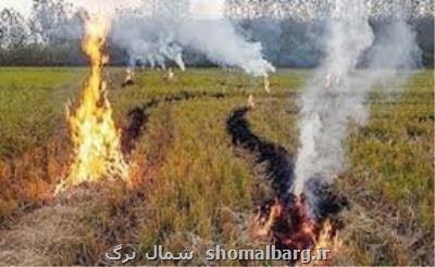 جریمه در انتظار سوزانندگان كاه و كلش مزارع برنج
