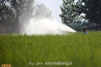 سم چالش جدید كشاورزان در مازندران