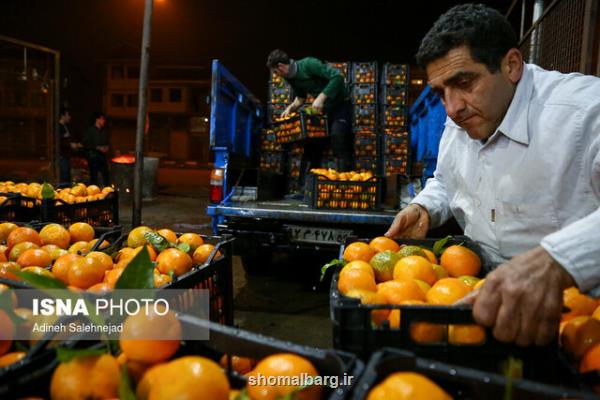 ذخیره سازی 1000 تن مركبات در سوادكوه شمالی