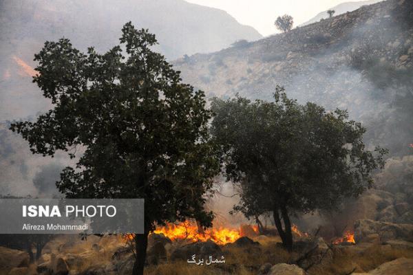 وقوع 28 فقره حریق در سطح جنگل ها و مراتع گیلان